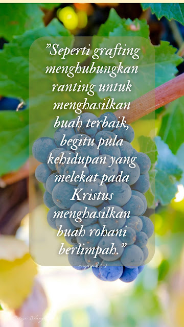 Gambar dari folder